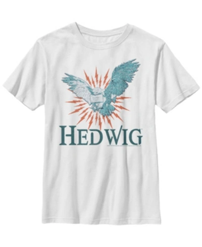 Fifth Sun Kids' Harry Potter The Deathly Hallows Hedwig Delivering Mail Little And Big Boy Short Sleeve T-shirt In White