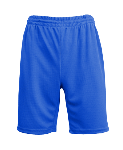 Galaxy By Harvic Men's Oversized Moisture Wicking Performance Basic Mesh Shorts In Royal