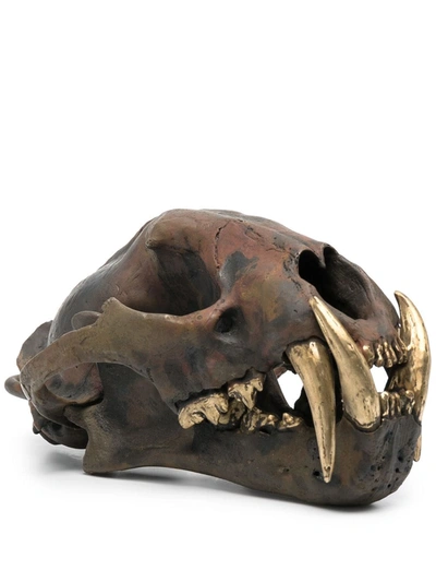 Parts Of Four Leopard Skull Replica In Brown