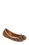 Me Too Harmony Knit Ballet Flat In Leopard Mesh