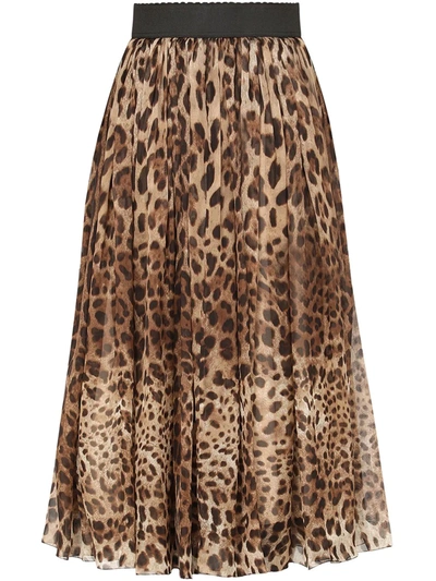 Dolce & Gabbana Leopard-print Chiffon Midi Skirt In Multicolor