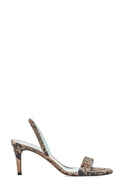 Aera Sally Ankle Strap Sandal In Cuoio Python-effect