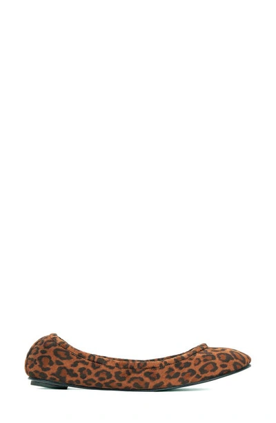 Aera Lily Ballet Flat In Leopard Print