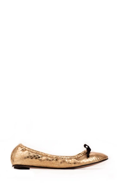 Aera Brigitte Ballet Flat In Gold Python-effect