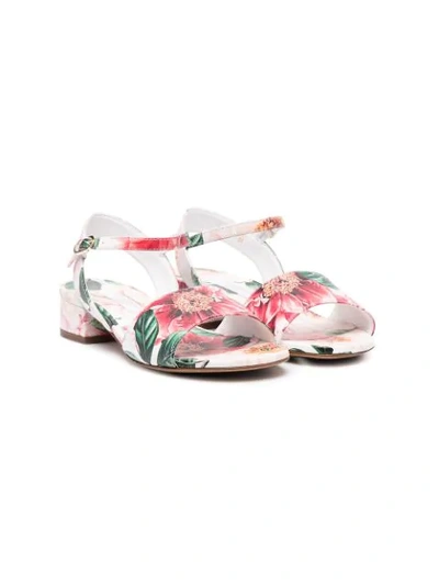 Dolce & Gabbana Kids' Floral-print Sandals In Pink
