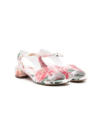 Dolce & Gabbana Teen Floral-print Sandals In Pink