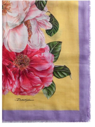 Dolce & Gabbana Floral-print Scarf In Pink