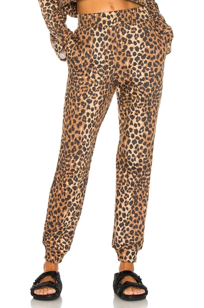 Lovers & Friends Cropped Jogger In Chocolate Leopard
