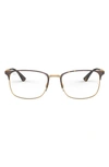 Ray Ban 52mm Optical Glasses In Pink Gold/ Havana