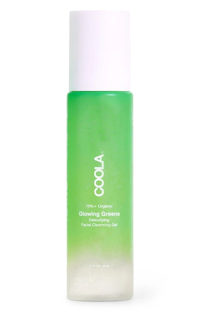 Coolar Glowing Greens Detoxifying Facial Cleanser In No Colr