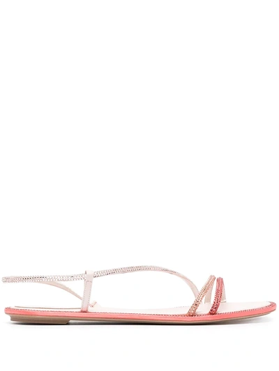 René Caovilla Jewelled-strap Flat Sandals In Pink