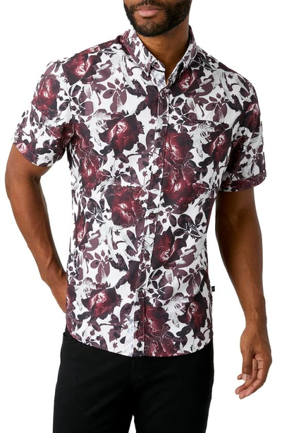 7 Diamonds Ruby Tuesday Floral Short Sleeve Button-down Performance Shirt In White