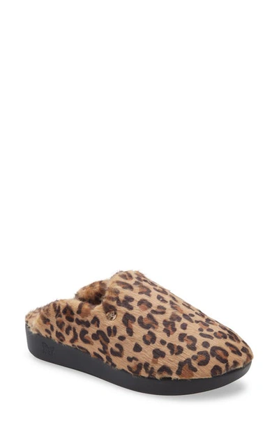 Alegria Leisurelee Faux Fur Slipper In Leopard Print