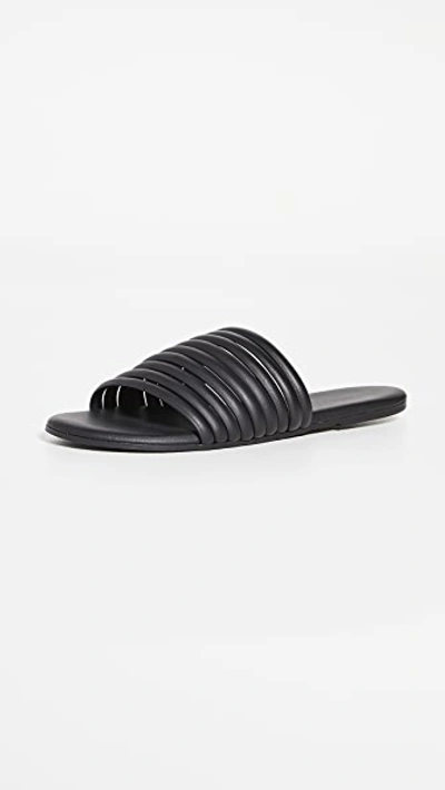 Tkees Caro Sandals In Black