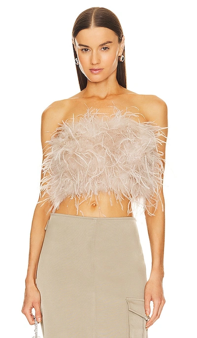 Lamarque Zaina Feather Bustier Top In Black