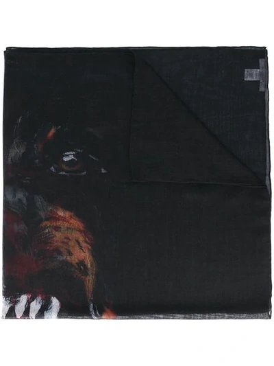 Givenchy Rottweiler Print Scarf In 001 Nero