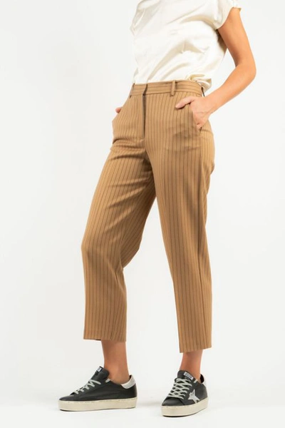 Pinko Cefeo Trousers In Light Brown