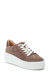 Taupe Soho Suede