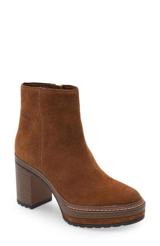 steve madden shaniya brown suede