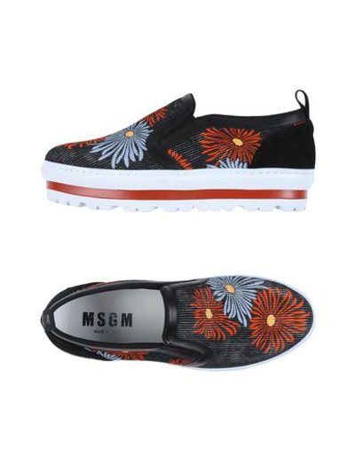 Msgm Sneakers In Black