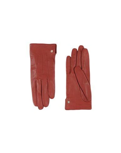 Lanvin Gloves In Maroon