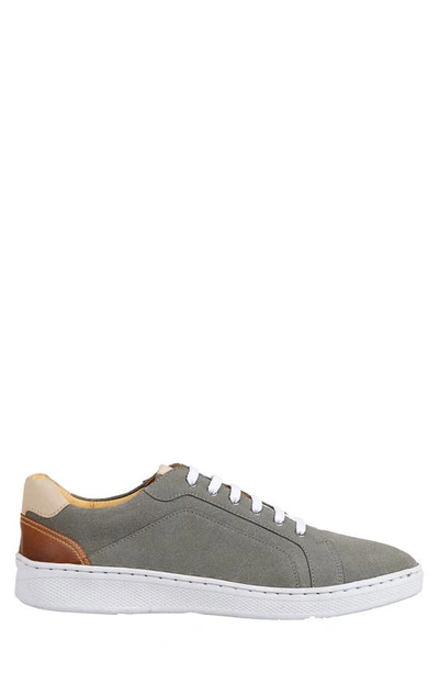 Sandro Moscoloni Trendy Lace-up Sneaker In Grey