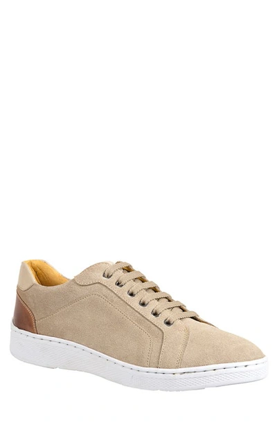 Sandro Moscoloni Trendy Lace-up Sneaker In Taupe