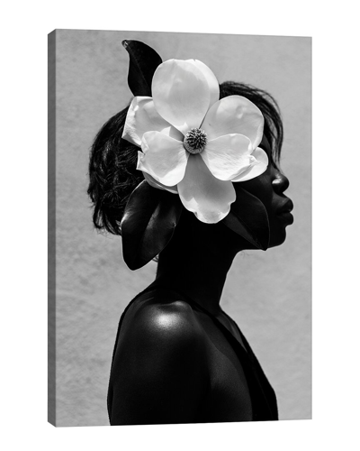 Icanvas Magnolia Wall Art By Gregory Prescott In Multi
