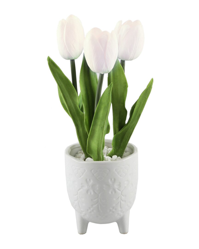 Flora Bunda Real-touch Tulips In Footed Ceramic Pot In White