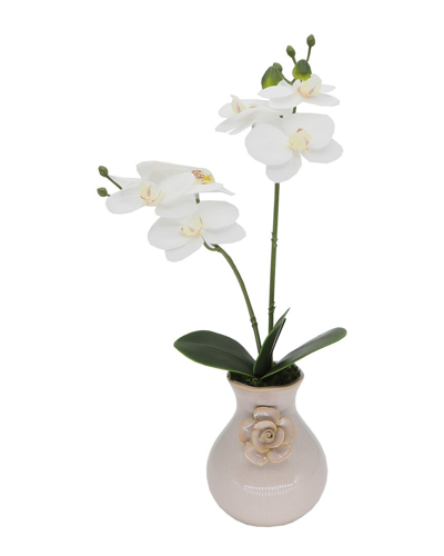 Flora Bunda 15in Real-touch Orchid In Cermaic Vase In Pink