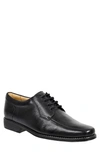 Sandro Moscoloni Bicycle Toe Derby In Blk