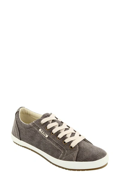 Taos 'star' Sneaker In Chocolate Washed Canvas