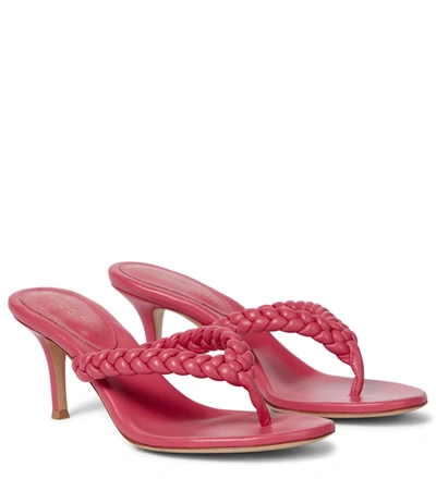 Gianvito Rossi Tropea 70 Leather Thong Sandals In Pink