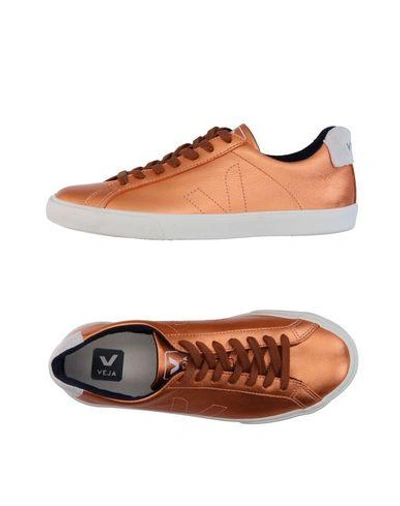 Veja Sneakers In Copper