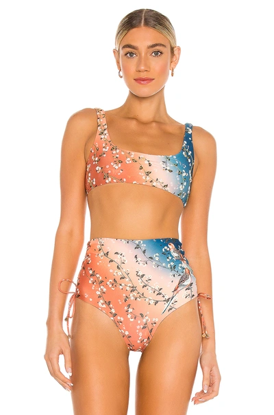Agua Bendita Collee Ornit Embroidered Bikini Top In Multicolor
