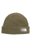 The North Face Salty Dog Beanie In Green