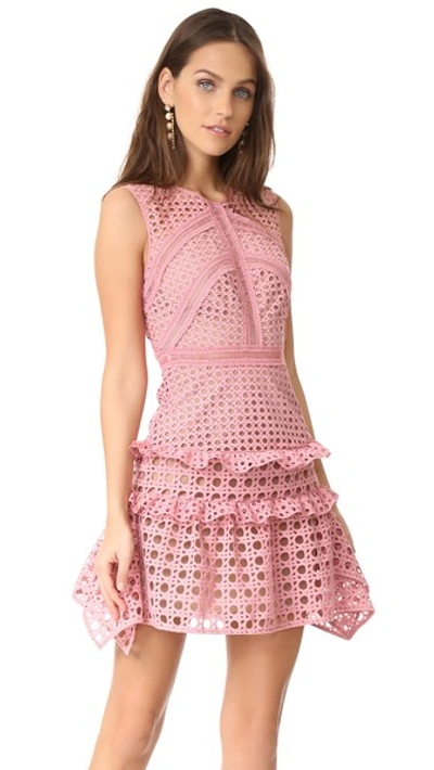 Self-portrait Crosshatch Frill Lace Mini Dress In Pink