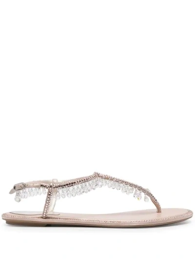 René Caovilla Chandelier Crystal Flat Thong Sandals In Beige