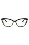 Dolce & Gabbana 54mm Square Optical Glasses In Black