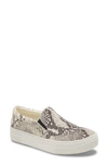 Steve Madden Gills Platform Slip-on Sneaker In Snake Canvas