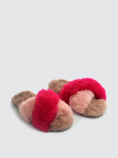 Ariana Bohling Llc Ariana Bohling Criss Cross Alpaca Slipper Fuchsia/pink/blush In Brown