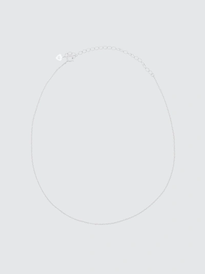 Alex Mika Plain Chain Choker Necklace In Silver