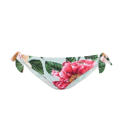 Dolce & Gabbana Tie Bikini Bottoms With Camellia Print In Floral Print