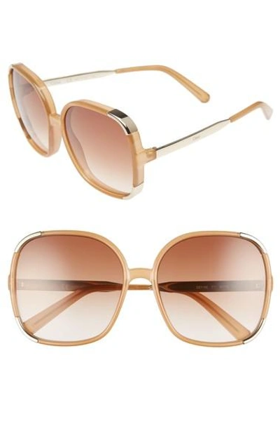 CHLOÉ Myrte 61mm Gradient Lens Square Sunglasses 