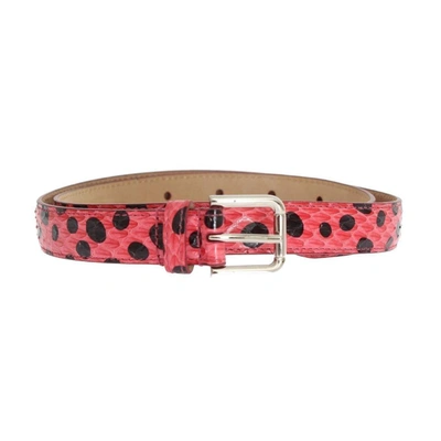 Dolce & Gabbana Pink Polka Snakeskin Silver Buckle Belt In Multicolor