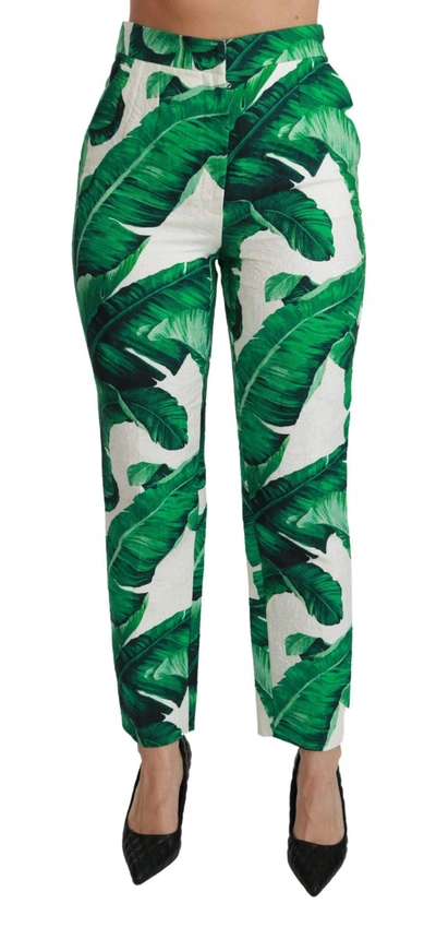 Dolce & Gabbana Banana Leaf High Waist Slim Trouser Pants In Green