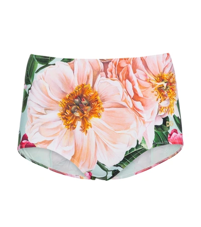Dolce & Gabbana Floral Print High-waisted Bikini Bottoms In Hc2ai Camelia