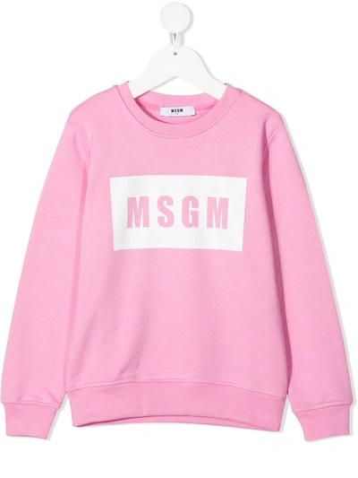 Msgm Teen Logo Print Sweatshirt In Pink
