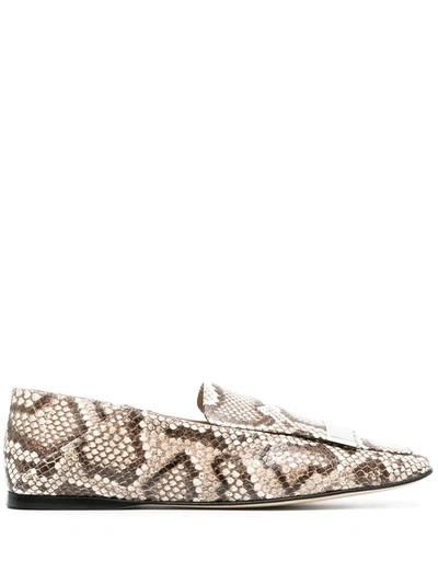 Sergio Rossi Leather Slippers Animalier In Animal Print