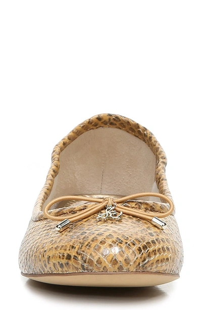 Sam Edelman Women's Felicia Ballet Flats Women's Shoes In Wheat